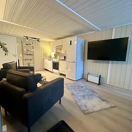 With Parking Apartament Lillehammer